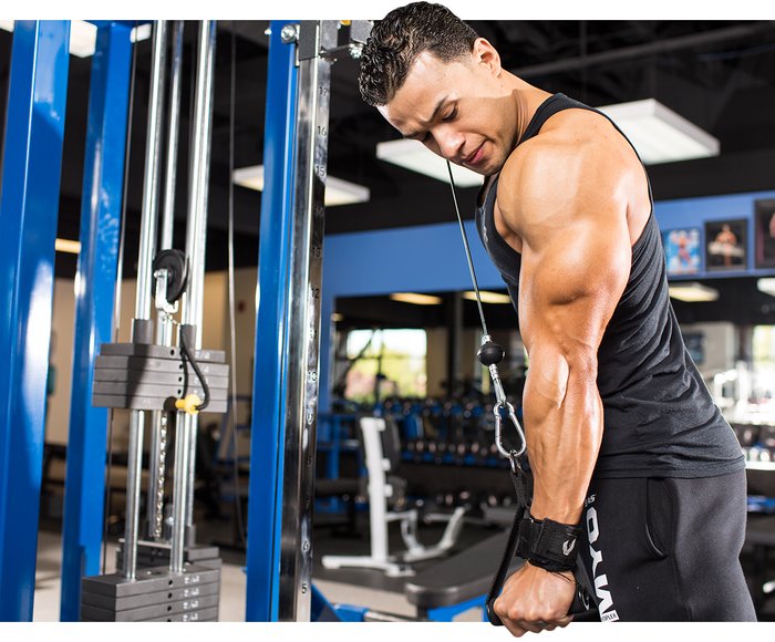 Changing bodybuilding workouts